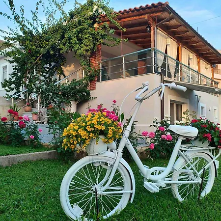 Dreamades House Guest house *